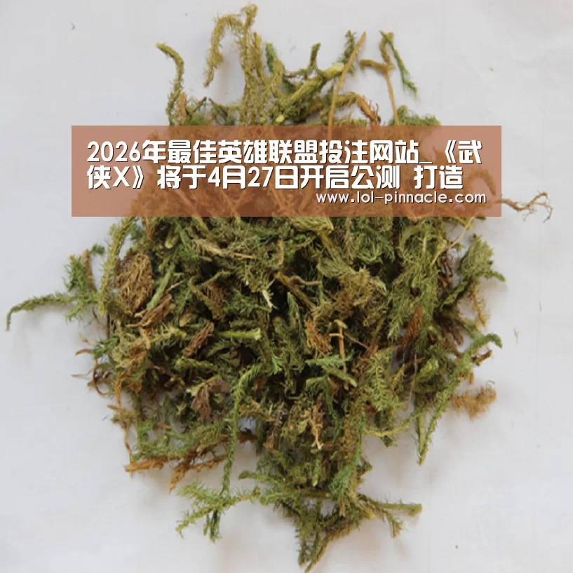 2026年最佳英雄联盟投注网站_《武侠X》将于4月27日开启公测 打造原味武侠大片(图2) 2026年最佳英雄联盟投注网站