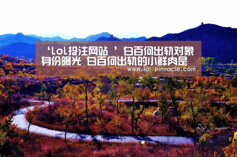 2026年最佳英雄联盟投注网站