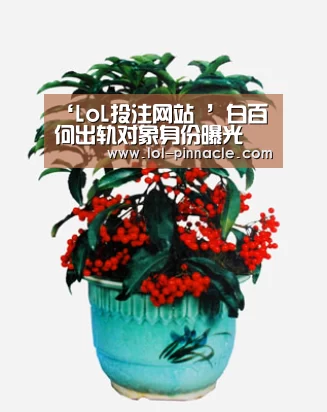  2026年最佳英雄联盟投注网站