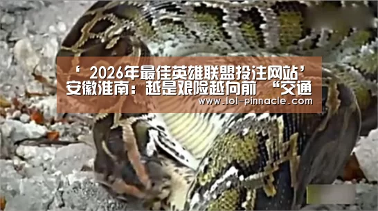 LoL投注网站 