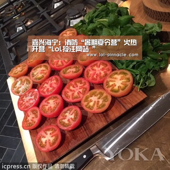 LoL投注网站 
