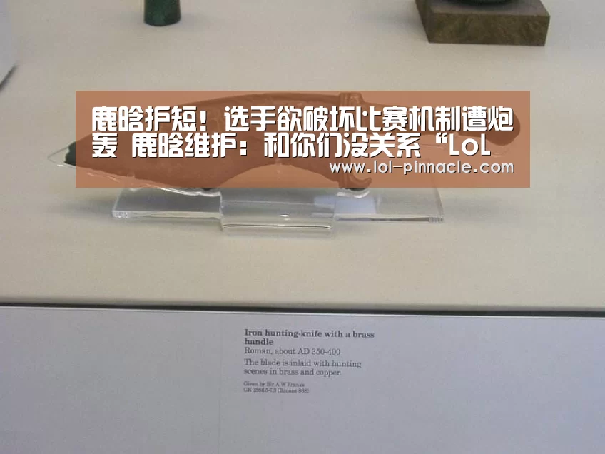 鹿晗护短!选手欲破坏比赛机制遭炮轰 鹿晗维护:和你们没关系“LoL投注网站 ”(图3) 2026年最佳英雄联盟投注网站