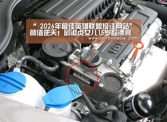 LoL投注网站 