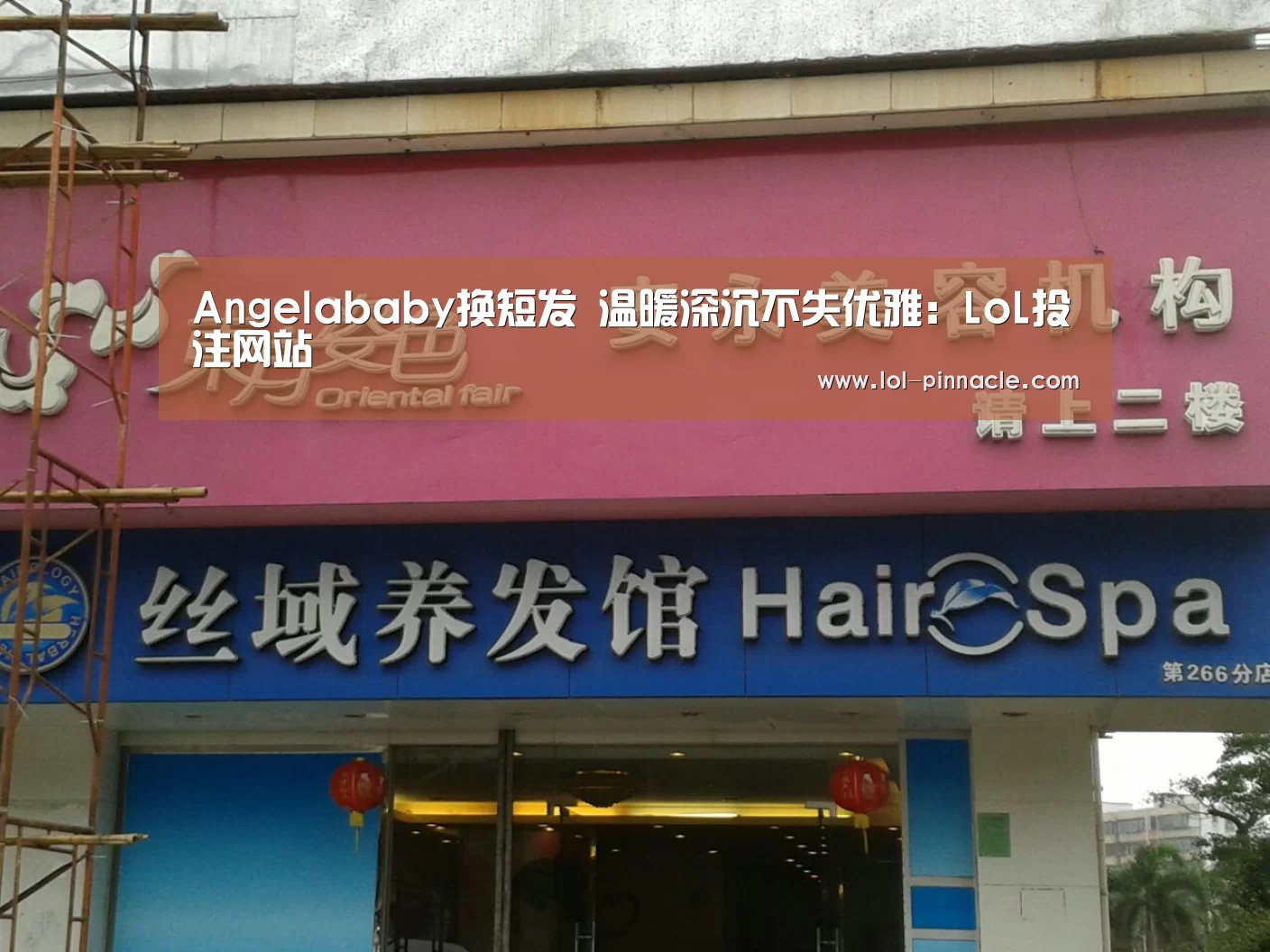 LoL投注网站 