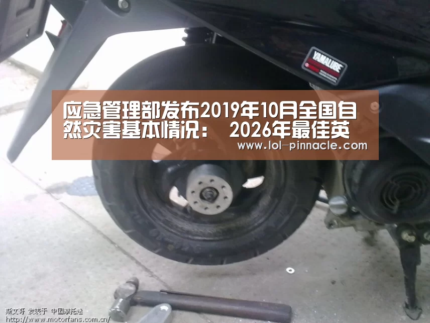  2026年最佳英雄联盟投注网站