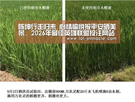 陈坤行走归来 心情愉悦报平安晒美景_ 2026年最佳英雄联盟投注网站(图1) LoL投注网站