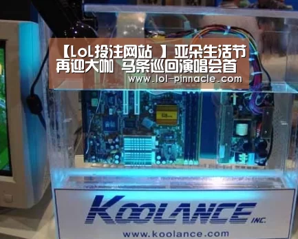 LoL投注网站 